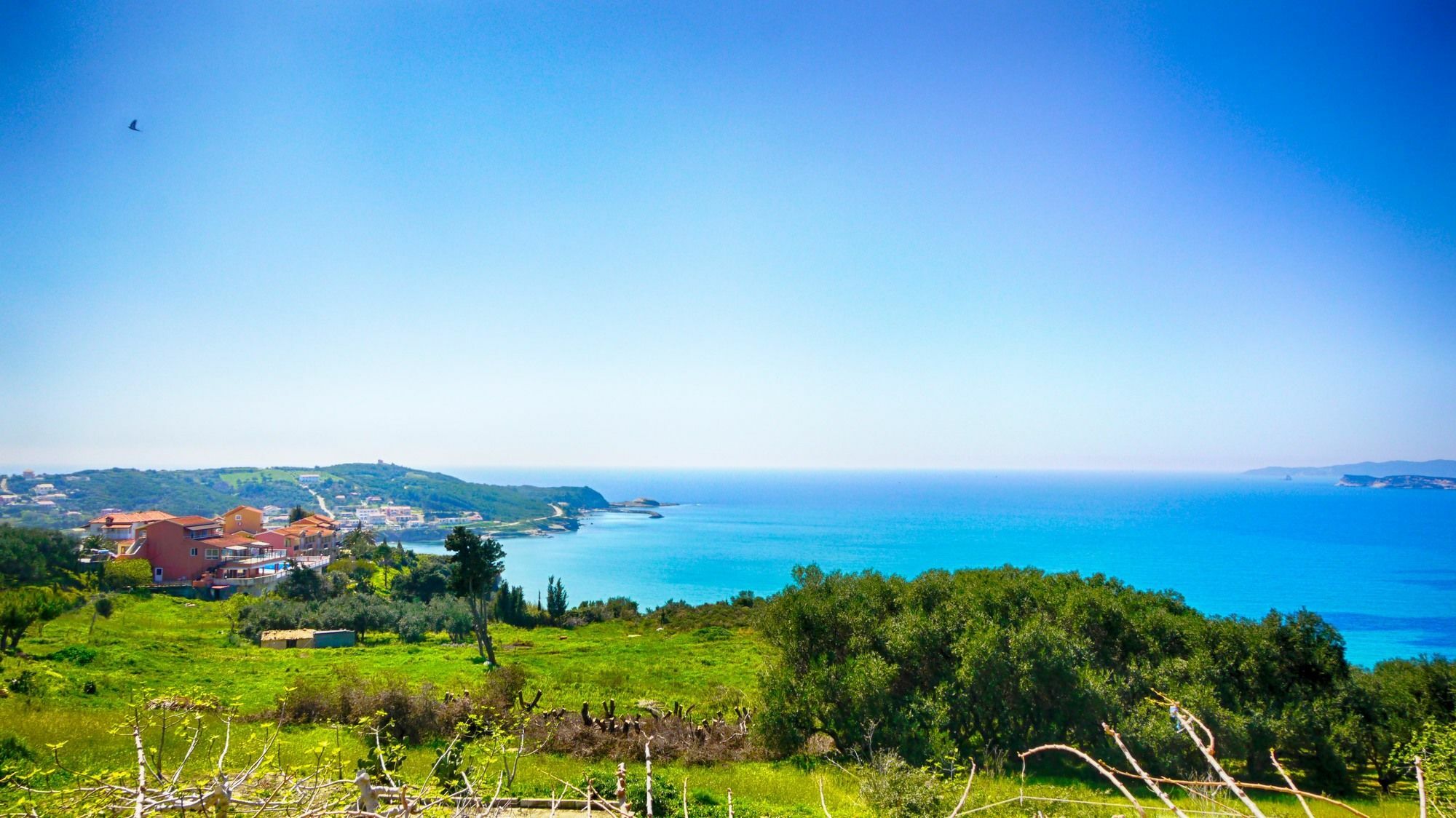 Nikos & Katerina Studios Agios Stefanos Avliotes  ภายนอก รูปภาพ